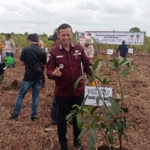 Wabup Muslimin Tanja Tanam Harapan di Hutan KKD, Aksi Nyata Jaga Lingkungan Tanjab Timur