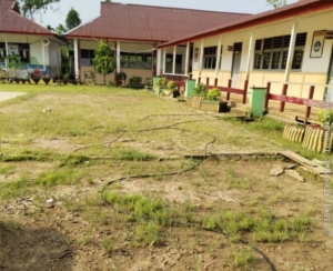 Respon Cepat ULP PLN Muara Sabak, Kabel Listrik di SDN 23/X Muara Sabak Timur Berhasil Ditangani