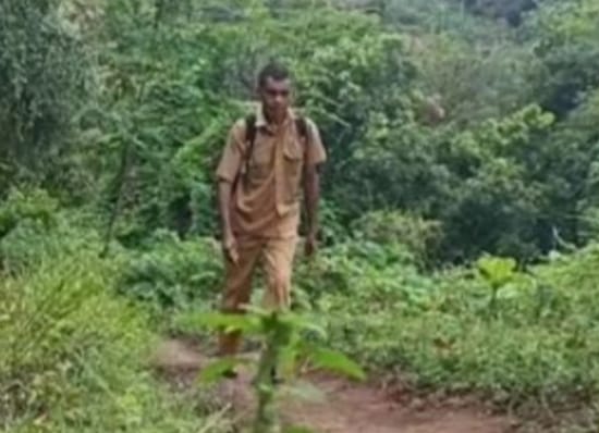 Prof Sutan Nasomal Sesalkan Gaji Guru Honorer dan PPPK Sangat Rendah