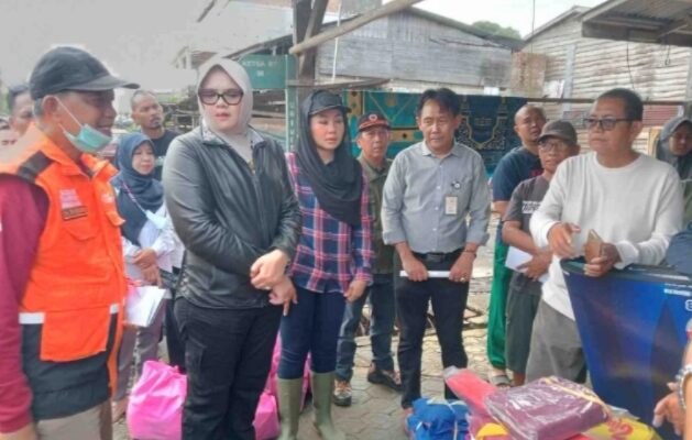 Bupati Dillah Hikmah Sari Tinjau Lokasi Kebakaran Pasar Blok D Pandan Jaya, Serahkan Bantuan untuk Korban
