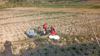 Prof. Sutan Nasomal Dorong Pemerintah Perkuat Antisipasi Kekeringan dan Gagal Panen